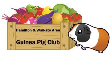 Hamilton and Waikato Area Guinea Pig Club NZ