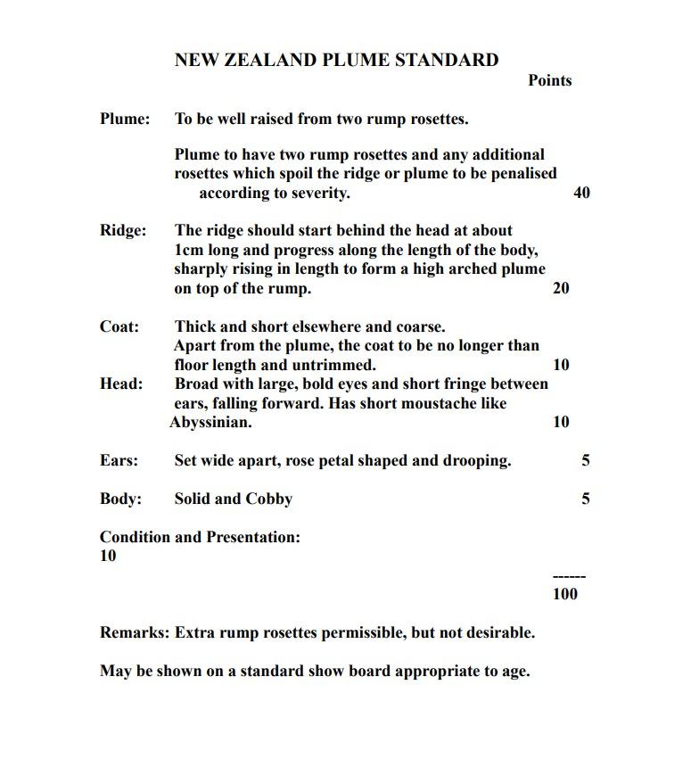 New Zealand Plume Cavy Show Standard
