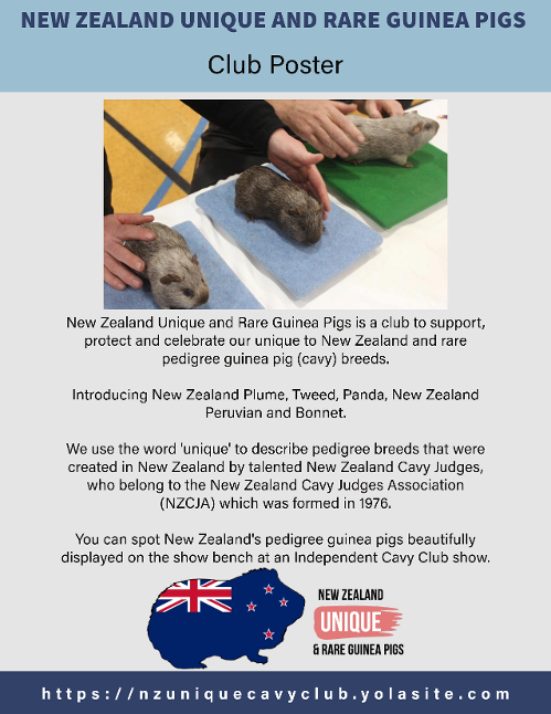 New Zealand Unique and Rare Guinea Pig Breeds Club Poster