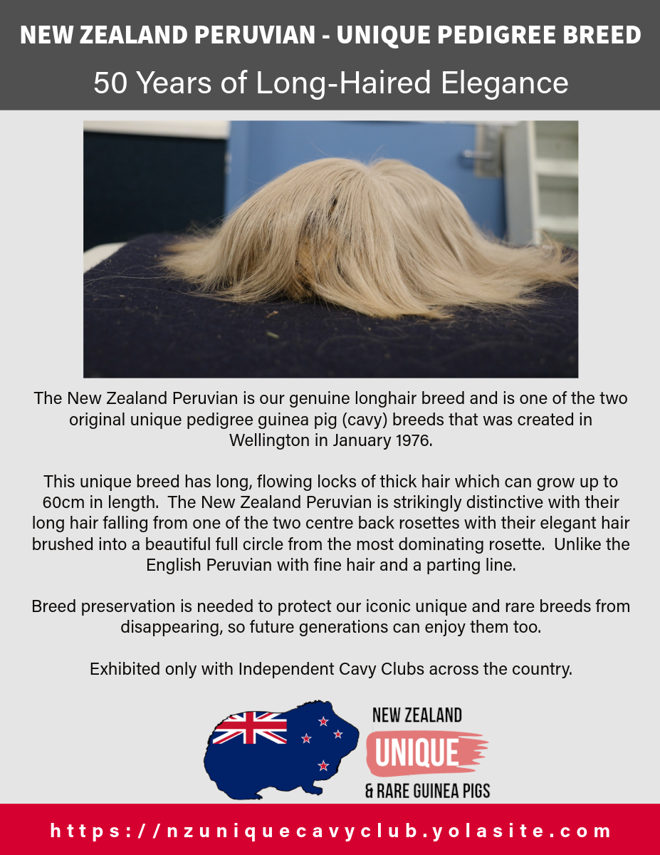 New Zealand Peruvian: Breed Profile Poster