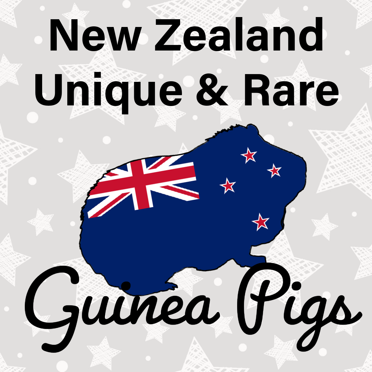 New Zealand Unique and Rare Guinea Pigs Poster