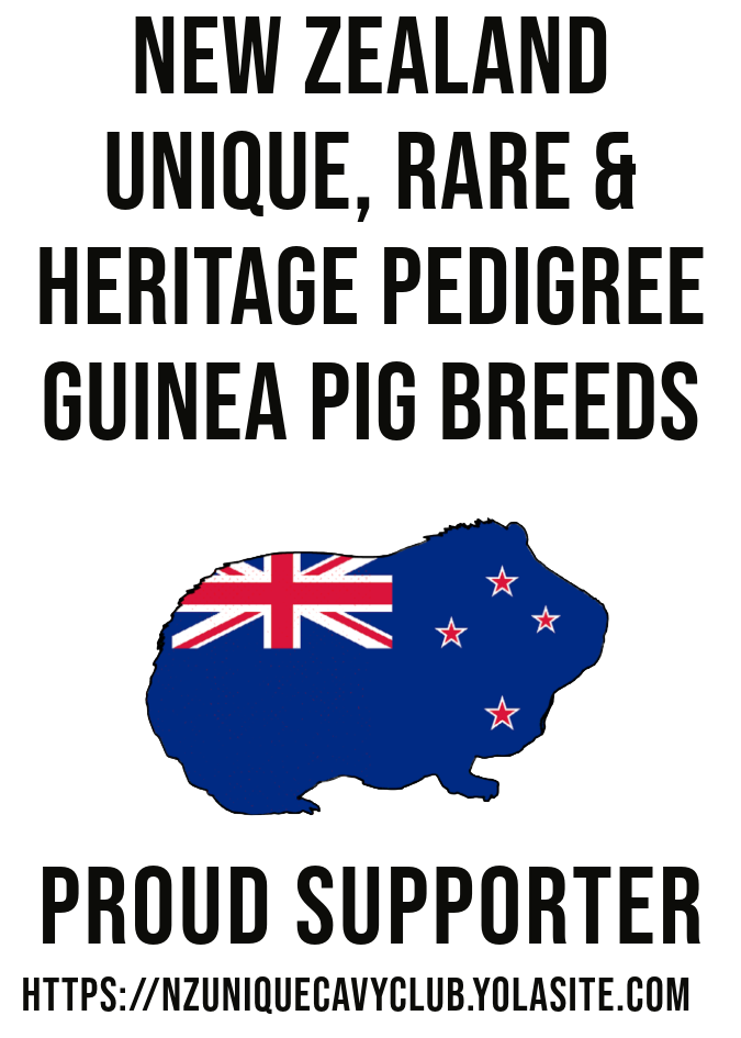 NZ Unique, Rare & Heritage Pedigree Guinea Pig Breeds: Proud Supporter Poster
